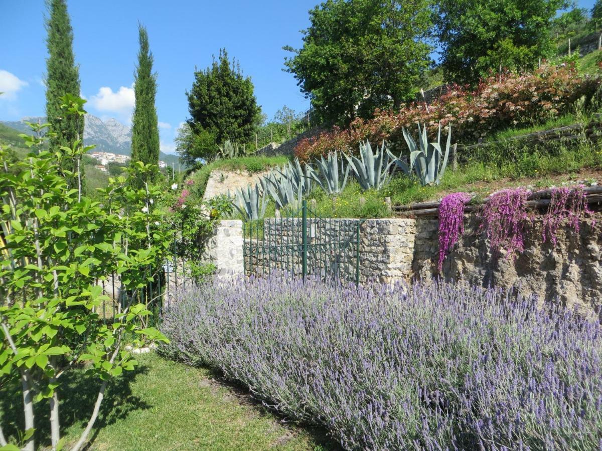Ancient Estate "Il Trignano" Villa Vietri sul Mare Exterior photo